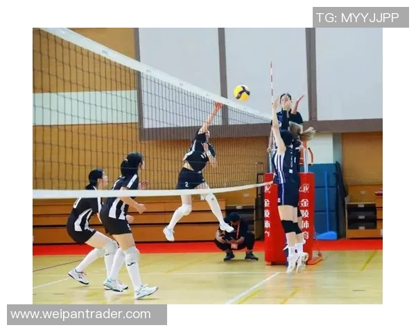 杭州排球队灵活性创新高引发全国关注排球竞技新风潮