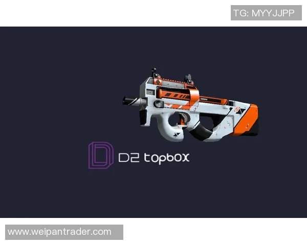 深度探讨刘强在CSGO世界中的成长与挑战之路