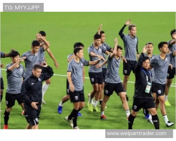 成都足球队在城市联赛中的团队协作表现分析与点评