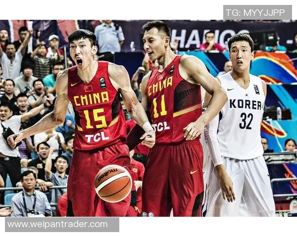 南京篮球队的战术解析与控制策略深度剖析