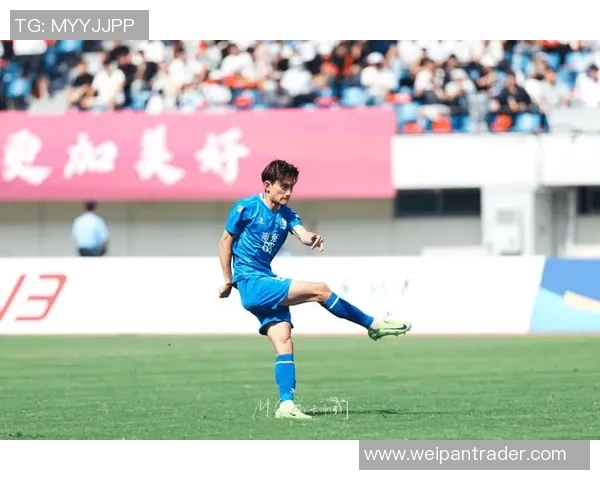 南京足球队球员个人能力深度对比分析与战术影响探讨