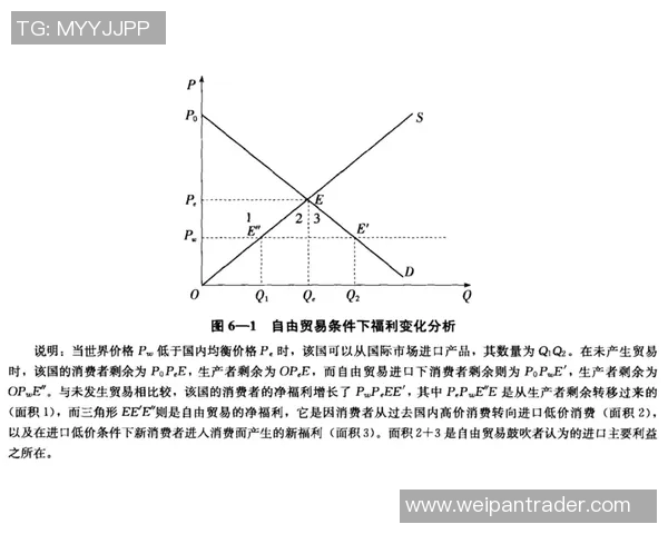 职业联赛发展趋势分析及其对经济、文化与社会的深远影响