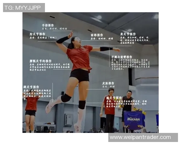 上海排球队的比赛经验分享与成长之路探讨