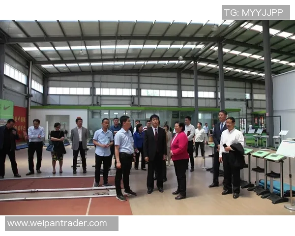 上海极限运动队的转型与创新探索之路全面解析