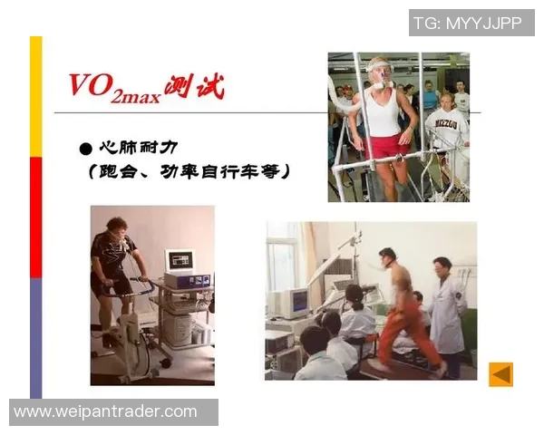 成都排球队耐力表现数据分析与训练效果评估研究 成都排球队耐力表现数据分析与训练效果评估研究