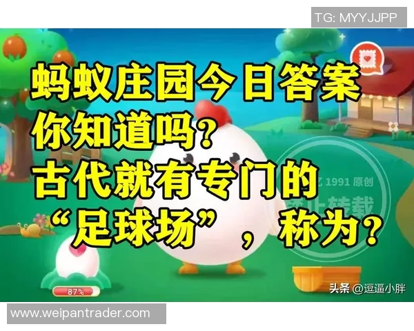 古人如何培养足球明星蚂蚁庄园的秘密与智慧探究 古人如何培养足球明星蚂蚁庄园的秘密与智慧探究